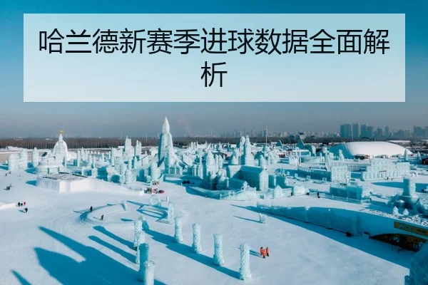 哈兰德新赛季进球数据全面解析